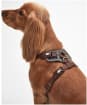 Barbour Fully Adjustable Padded Dog Harness - Classic Tartan