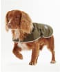 Barbour Waterproof Dog Coat - Olive