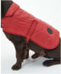 Barbour Baffle Quilted Dog Coat - Wine