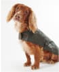 Barbour Waxed Cotton Dog Coat - Olive