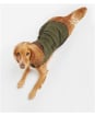 Barbour Dog Bone Quilted Dog Coat - Dark Olive