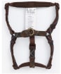 Tartan Harness - Classic Tartan