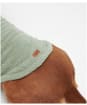 Barbour Teddy Fleece Dog Jumper - Soft Mint