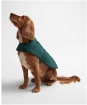 Barbour Baffle Quilted Dog Coat - Evergreen