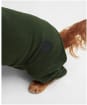 Dog Fleece - Green