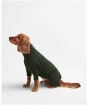 Dog Fleece - Green