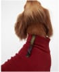 Dog Fleece - Red