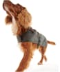 Barbour Waxed Cotton Dog Coat - Olive