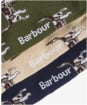 Men’s Barbour Pointer Dog Socks Gift Box - Forest Mist