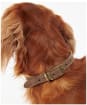 Barbour Leather Dog Collar - Brown