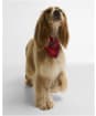 Barbour Tartan Dog Bandana - Cardinal Tartan