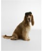 Barbour Wilkin Dog Flat Cap - Olive Check