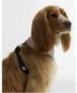 Barbour Evie Dog Harness - Gardenia Pink