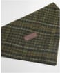 Barbour Wilkin Dog Bandana - Olive Check