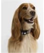 Barbour Tartan Printed Dog Collar - Pink Tartan
