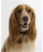 Barbour Tartan Printed Dog Collar - Classic Tartan