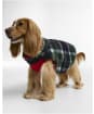 Barbour Field Reversible Dog Coat - Evergreen Tartan