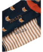 Men's Joules Kingsbury Socks - 2 Pack - Tan / Navy Fox