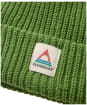 Passenger Beechwood Fleece Lined Recycled Beanie - Clover