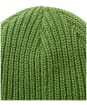 Passenger Beechwood Fleece Lined Recycled Beanie - Clover