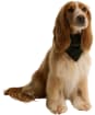 Barbour Wilkin Dog Bandana - Olive Check