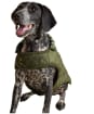 Joules Quilted Dog Coat - Large - Khaki