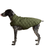 Joules Quilted Dog Coat - Small - Khaki