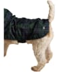 Joules Packaway Dog Jacket - Large - Blackwatch Check