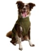 Joules Fairbourne Dog Fleece - Large - Khaki