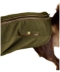 Joules Fairbourne Dog Fleece - Large - Khaki