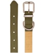 Joules Dog Collar - Large - Khaki