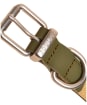 Joules Dog Collar - Large - Khaki