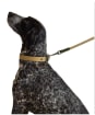 Joules Dog Collar - Large - Khaki