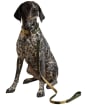 Joules Dog Collar - Large - Khaki