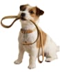 Joules Dog Collar - Large - Tan