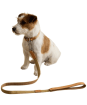 Joules Dog Collar - Large - Tan
