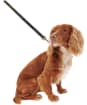 Barbour Tartan and Leather Dog Lead - New Classic Tartan