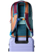 Cotopaxi Allpa 26L Daypack - Del Dia