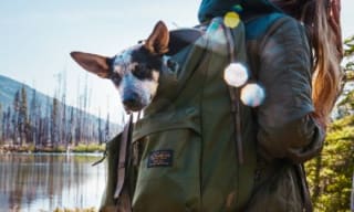 Filson Bags and Luggage