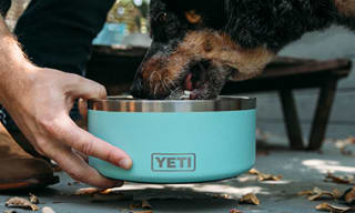 Dog Bowls