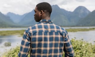 Tentree Shirts
