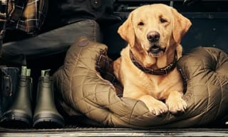 Barbour Dog Beds