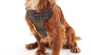 Barbour Dog Harnesses
