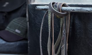 Dog Leads