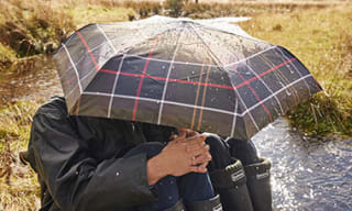 Umbrellas