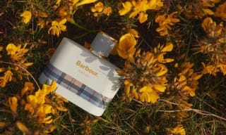 Barbour Collections
