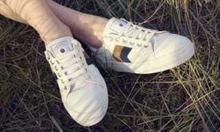 Trainers