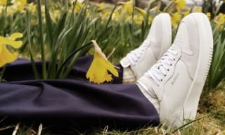 Barbour Trainers