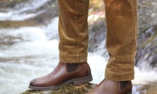 Dubarry Trousers and Shorts