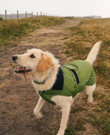 Dryrobe Dog Coats